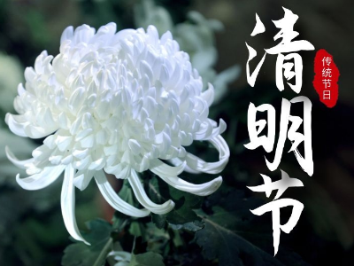 今日清明，睿寂行缅怀先烈！