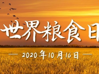 世界粮食日|光盘行动，睿寂行空压机在行动......
